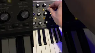 Tech - House bassline making. Moog Sub 37 in action ! 🎹🎵
