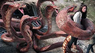 Variation Hydra 2020 Chinese science fiction film explained ||#movieexplained #snake #python #sifi