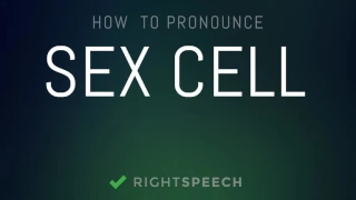 Sex Cell - How to pronounce Sex Cell