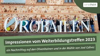 Reiseimpressionen des Weiterbildungstreffen der Oliviers in Andalusien 2023