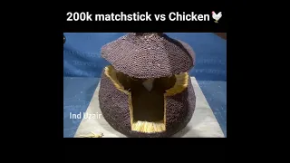 200,000 Matchstick vs Chicken🐔..😱 Amazing Experiment #shorts