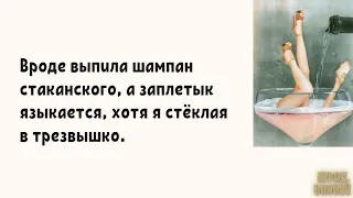 Вечер пятницы: у спирта был выбор — пойти в медицину или приносить радость людям #анекдоты #юмор