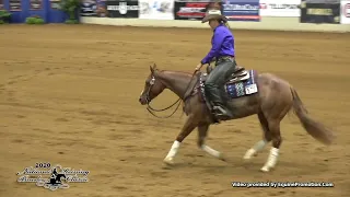 Penny Whize ridden by Emily Emerson  - 2020 NRBC (Open Classic)