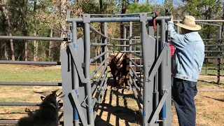 Cattle Sweep Tub System