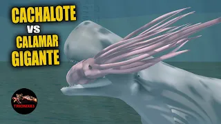 CACHALOTE VS CALAMAR GIGANTE – Colossal Squid vs Sperm Whale Animation