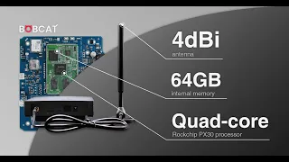 Bobcat Miner Setup