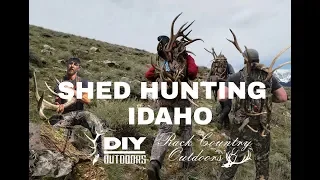 Shed Hunting Idaho