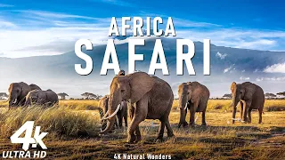 African Safari 4K - Scenic Wildlife Film With African Music - 4K Video Ultra HD