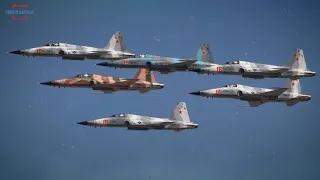 F-5N Aggressors, This is the Reason the US Maintains the F-5 Tiger Family