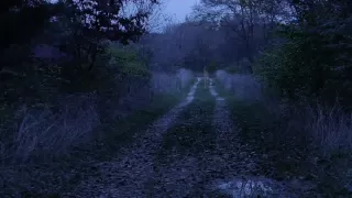 Gettysburg Ghost -- Most Authentic Video to date?