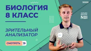 Зрительный анализатор. Видеоурок 7. Биология 8 класс