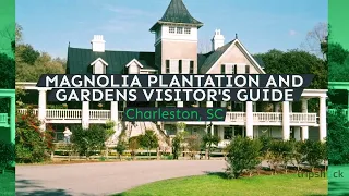 Magnolia Plantation and Gardens Visitor's Guide
