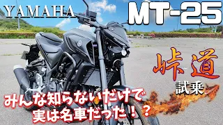 MT-25（ヤマハ）試乗インプレ。これは良いバイク！YAMAHAの隠れた名車。