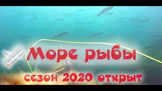 МОРЕ РЫБЫ. ХОД КЕФАЛИ 2020. Подводная охота. открытие охоты