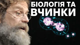 25. Індивідуальні особливості - Роберт Сапольскі "Біологія поведінки людини"