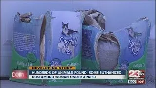 Hundreds of cats found in home in Rosamond, some had to be euthanized