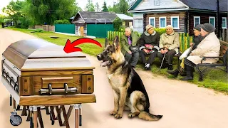 Crying Dog Insist To Attending His Owner's Funeral, And What He Did Next Left Everyone In Shock