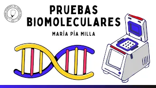 PRUEBAS BIOMOLECULARES: PCR | Microbiología