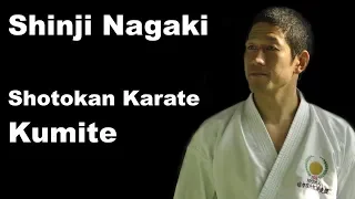 Seminar 31: Shinji Nagaki Kumite Shotokan Karate