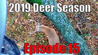 Hunting a HUGE Buck's Bed! Aggressive Self-Filmed Bowhunting! 2019 Deer Season- Episode 15