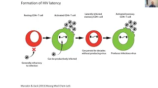 Identifying and Eliminating Persistent HIV Reservoirs, Matthew D. Marsden, PhD | UCI