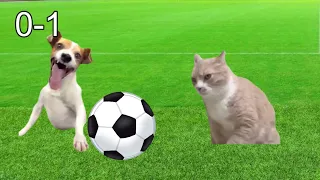 CAT MEMES  Everyday life of a footballer