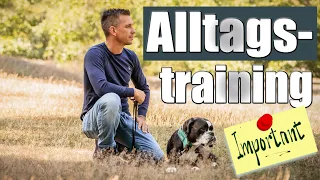 Hundetraining im Alltag  ist das A und O - darauf MUSST du achten