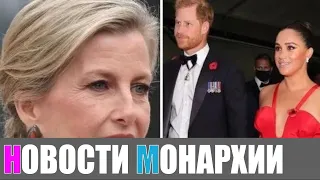 Гарри и Меган предлагали следовать королевским правилам, разработанным после скандала с Софи