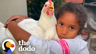 Rescue Chicken Shares A Bedroom With Her Human Sister | The Dodo Soulmates