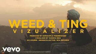 Protoje - Weed & Ting (Visualizer)