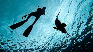 Τhe Day of the GREAT Dusky Groupers😲Spearfishing - His first Dusky grouper!