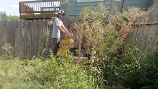 HOMEOWNER said "WHY THE ****" when I asked to TRANSFORM his OVERGROWN lawn for FREE