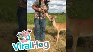 Friendly Deer Hangs Out During Dove Hunt