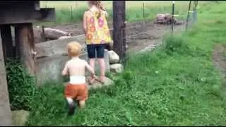 Baby zapped by pig fence