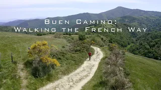 Buen Camino: Walking the French Way Documentary