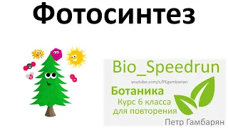 10. Фотосинтез (Speedrun ботаника 6 класс, ЕГЭ, ОГЭ 2021)