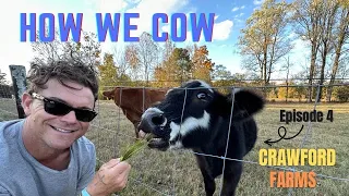 How We Cow- Clayne Crawford Farms- Ep 4