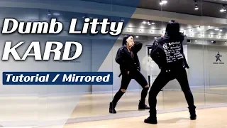 KARD (카드) - Dumb Litty (덤리티) 안무 배우기 거울모드 Tutorial mirror
