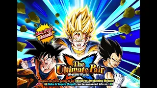 Dragon Ball Z Dokkan Battle: The Ultimate Pair (Present World) (Stage2)(Super2)