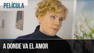 ▶️ A donde va el amor - Películas Completas en Español | Peliculas