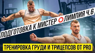 Тренировка груди и трицепсов от PRO | Подготовка к Мистер Олимпия 2023