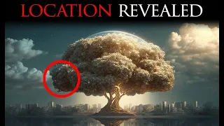 Details About The Tree Of Life Many Don't Know