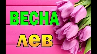 ЛЕВ  ВЕСНА 2019  Таро прогноз ( гороскоп)