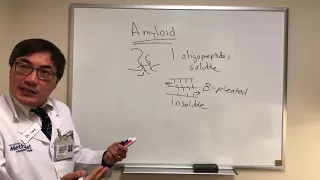 Amyloid & Neuro-Op