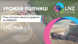 УРОЖАЙ ПШЕНИЦІ  Різні системи захисту вдарили по КИШЕНІ   LNZ Hub 3 0 #6