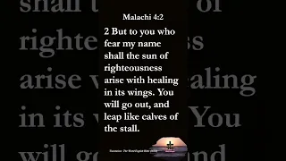 Malachi 4:2