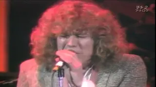 Robert Plant "Little Sister"