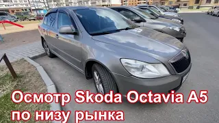 Осмотр Skoda Octavia A5 по низу рынка. Псков.