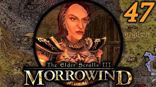 Caius Gets Another Update - Morrowind Mondays: Tamriel Rebuilt (OpenMW) #47