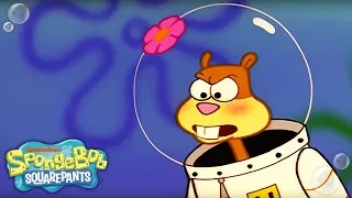 Sheriff Sandy Cheeks 🤠 Slice of Texas | Ep. 2  | SpongeBob